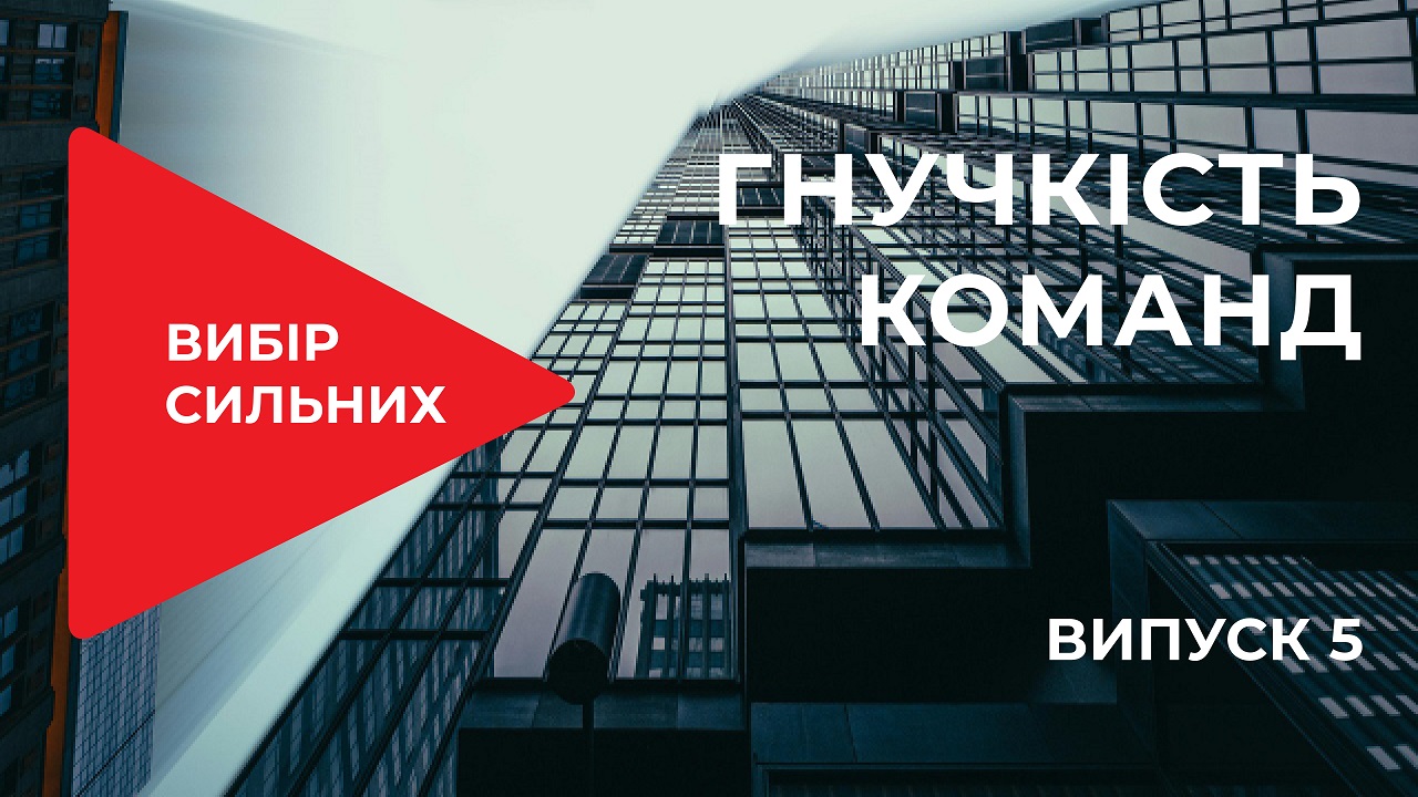 Поведенческая пластичность в командном взаимодействии